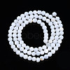Natural Freshwater Shell Beads Strands SHEL-N003-24-2