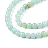 Natural Freshwater Shell Beads Strands BSHE-T009A-01D-3