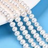 Natural Cultured Freshwater Pearl Beads Strands PEAR-N016-06C-1