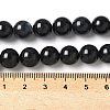 Natural Black Lip Shell Beads Strands SSHEL-C013-01D-4