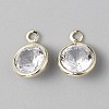 Alloy Micro Pave Cubic Zirconia Pendant FIND-WH0432-12C-G-1