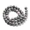 Natural Map Stone/Picasso Stone/Picasso Jasper Beads Strands G-G047-8mm-2