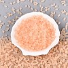 FGB Frosted Transparent Glass Seed Beads SEED-N013-05A-03-2