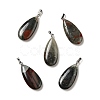 Natural Bloodstone Pendants G-P474-01P-09-1