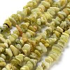 Natural Lemon Jade Chip Bead Strands G-M205-22-3