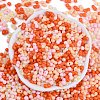Glass Seed Beads SEED-K010-03N-3