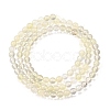 Watermelon Stone Glass Beads Strands G-L621-B08-4mm-3