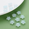Transparent Acrylic Beads MACR-S373-26E-07-6