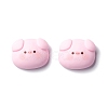 Resin Cabochons X-RESI-C008-02-2