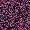 TOHO Round Seed Beads SEED-TR11-0332F-2