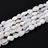 Natural Rainbow Moonstone Beads Strands G-G018-48-1