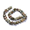 Natural Rhyolite Jasper Beads Strands G-L505-20-2