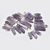 Natural Amethyst Graduated Beads Strands G-P319-28-3