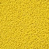 11/0 FGB Grade A Baking Paint Glass Seed Beads X-SEED-N001-A-1001-2