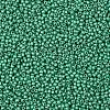 TOHO 11/0 Round Beads X-SEED-TR11-PF0561F-2