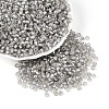 Silver Lined Glass Seed Beads SEED-T007-18A-02-1