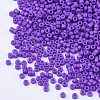 Baking Paint Cylinder Seed Beads SEED-Q036-02A-D08-3
