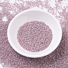 MIYUKI Delica Beads X-SEED-J020-DB0256-2