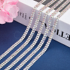 Silver Iron Rhinestone Strass Chains CH-WH0009-04S-02-6
