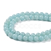 Grade A Natural Amazonite Beads Strands G-C046-01B-4