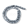 Handmade Lampwork Beads Strands LAMP-Q037-02B-06-2