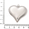 304 Stainless Steel Pendants STAS-Q349-02B-P-3