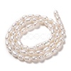 Natural Cultured Freshwater Pearl Beads Strands PEAR-L033-62-01-3