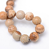 Round Natural Picture Jasper Bead Strands X-G-R345-4mm-19-3