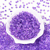 Transparent Inside Colours Glass Seed Beads SEED-T007-11B-1