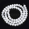 Natural Selenite Beads Strands G-S366-027B-2
