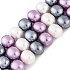 Shell Pearl Beads Strands BSHE-L035-E05-2