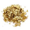 Foil Flakes X-DIY-E032-02B-2