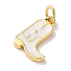 Rack Plated Brass Enamel Charms KK-Z039-01D-2