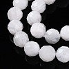 Natural Rainbow Moonstone Beads Strands G-S345-10mm-36-4