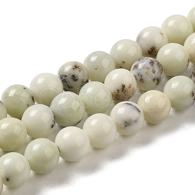 Natural Dendritic Jasper Beads Strands G-H298-A15-02-1