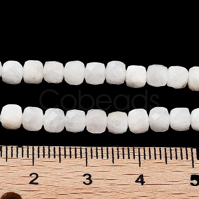 Natural Rainbow Moonstone Beads Strands G-H042-A02-02-1