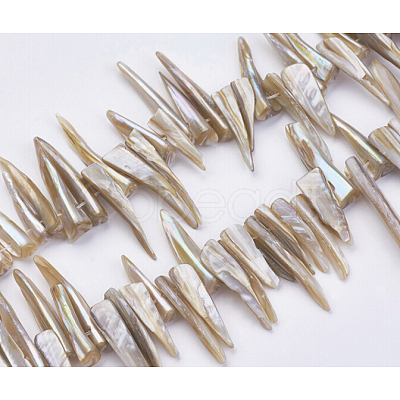 Natural Shell Beads Strands BSHE-P026-25-1