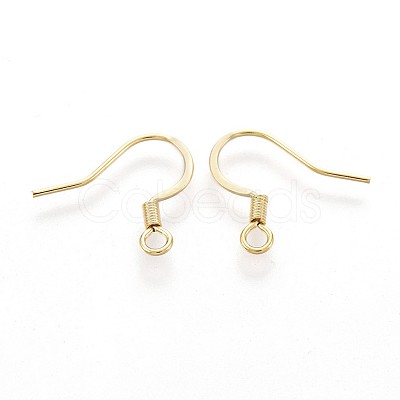 316 Surgical Stainless Steel French Earring Hooks X-STAS-P221-02G-1