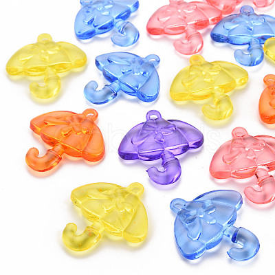 Transparent Acrylic Pendants TACR-T024-01B-1