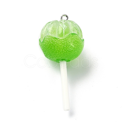 Translucent Resin Imitation Food Pendants RESI-R435-02B-1