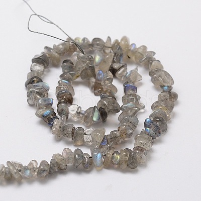 Natural Labradorite Chip Bead Strands G-M298-06-1