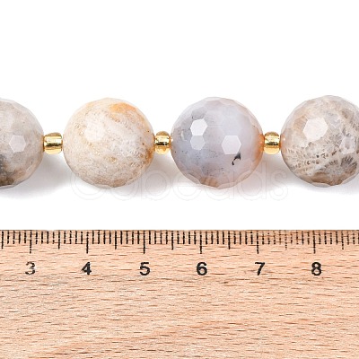 Natural Fossil Coral Beads Strands G-C249-A27-16MM-1