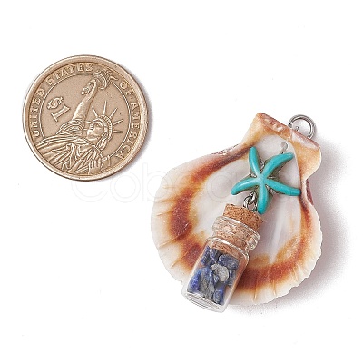 14Pcs 14 Styles Natural Scallop Shell Beads with Glass Jar Glass Bottles Stone Pendants PALLOY-JF03564-1
