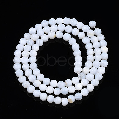 Natural Freshwater Shell Beads Strands SHEL-N003-24-1