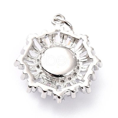 Brass Micro Pave Cubic Zirconia Pendants ZIRC-O044-21B-P-1