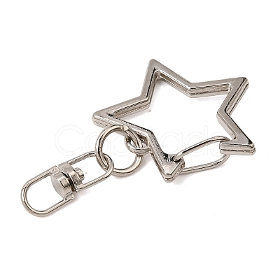 Alloy Swivel Clasps AL-CBAAE66-02P-1