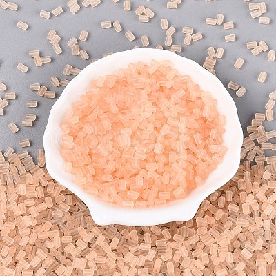 FGB Frosted Transparent Glass Seed Beads SEED-N013-05A-03-1