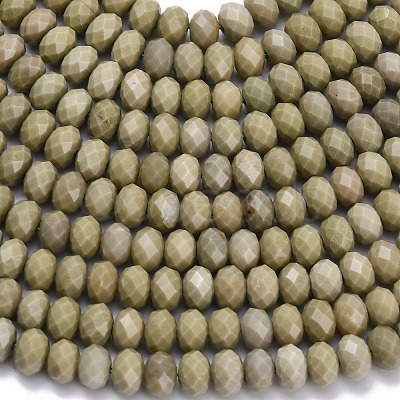 Natural Alashan Agate Beads Strands G-Z111-A39-02-1