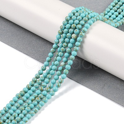 Synthetic Turquoise Beads Strands G-U004-02E-1