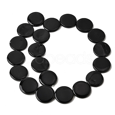 Natural Freshwater Shell Beads Strands SHEL-A006-01B-1